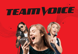 Team Voice (-10 pers.)